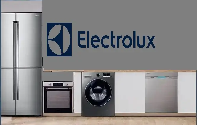 Başakşehir Electrolux servisi