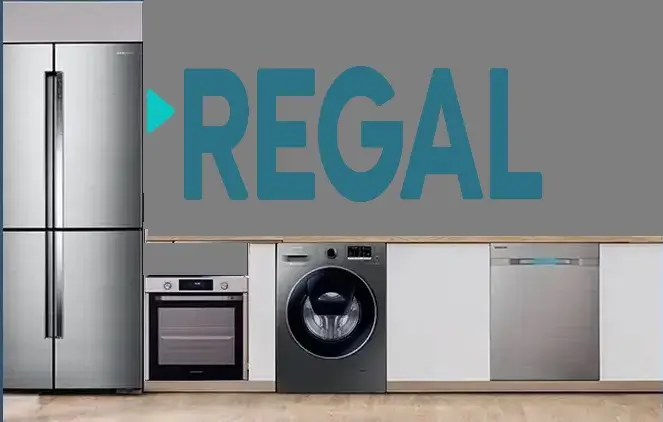 Başakşehir Regal servisi